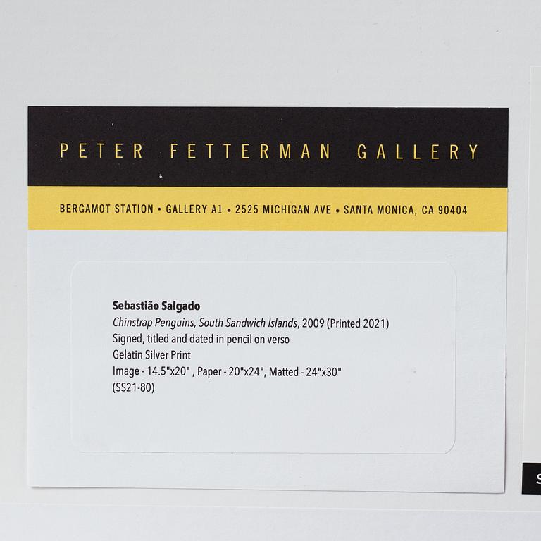 Sebastião Salgado, "Chinstrap Penguins, South Sandwich Island", 2009.