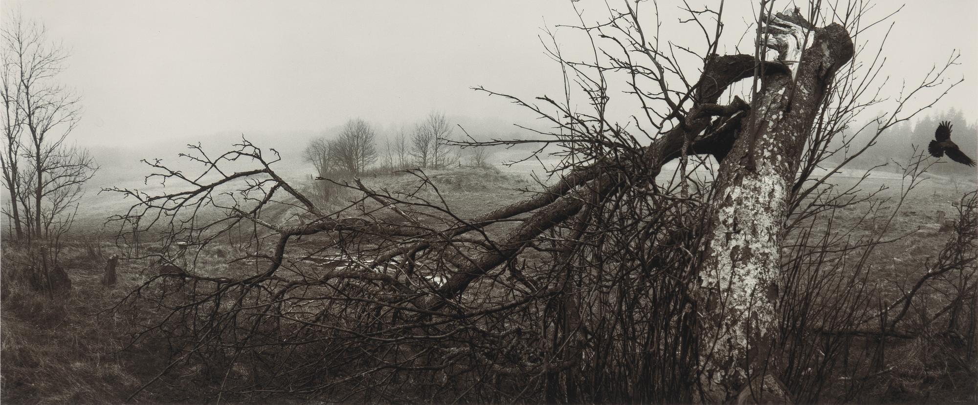 Pentti Sammallahti, "Lemland, Åland, 1988".