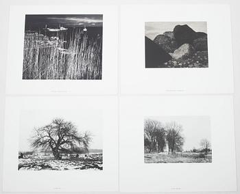 Pentti Sammallahti, "Rannalla".
