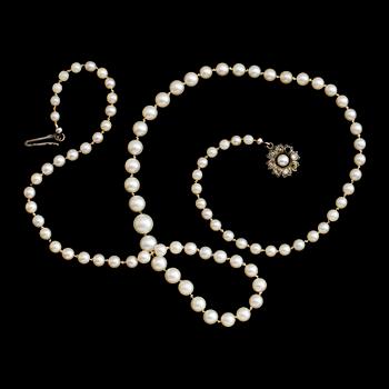 PÄRLCOLLIER, odlade doserade pärlor, silverlås, 1900-talets mitt.