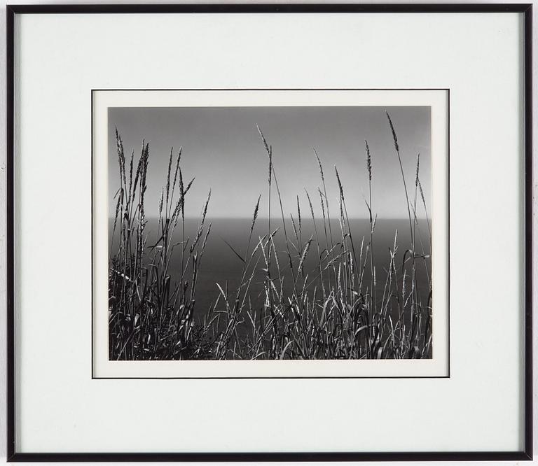 EDWARD WESTON, gelatinsilverfotografi stämplad och signerad av Cole Weston och numrerad 33/50 a tergo montering.