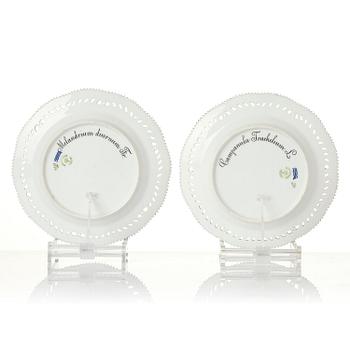 A set of 12 Royal Copenhagen 'Flora Danica' lunch plates, Denmark, 1889-1922.