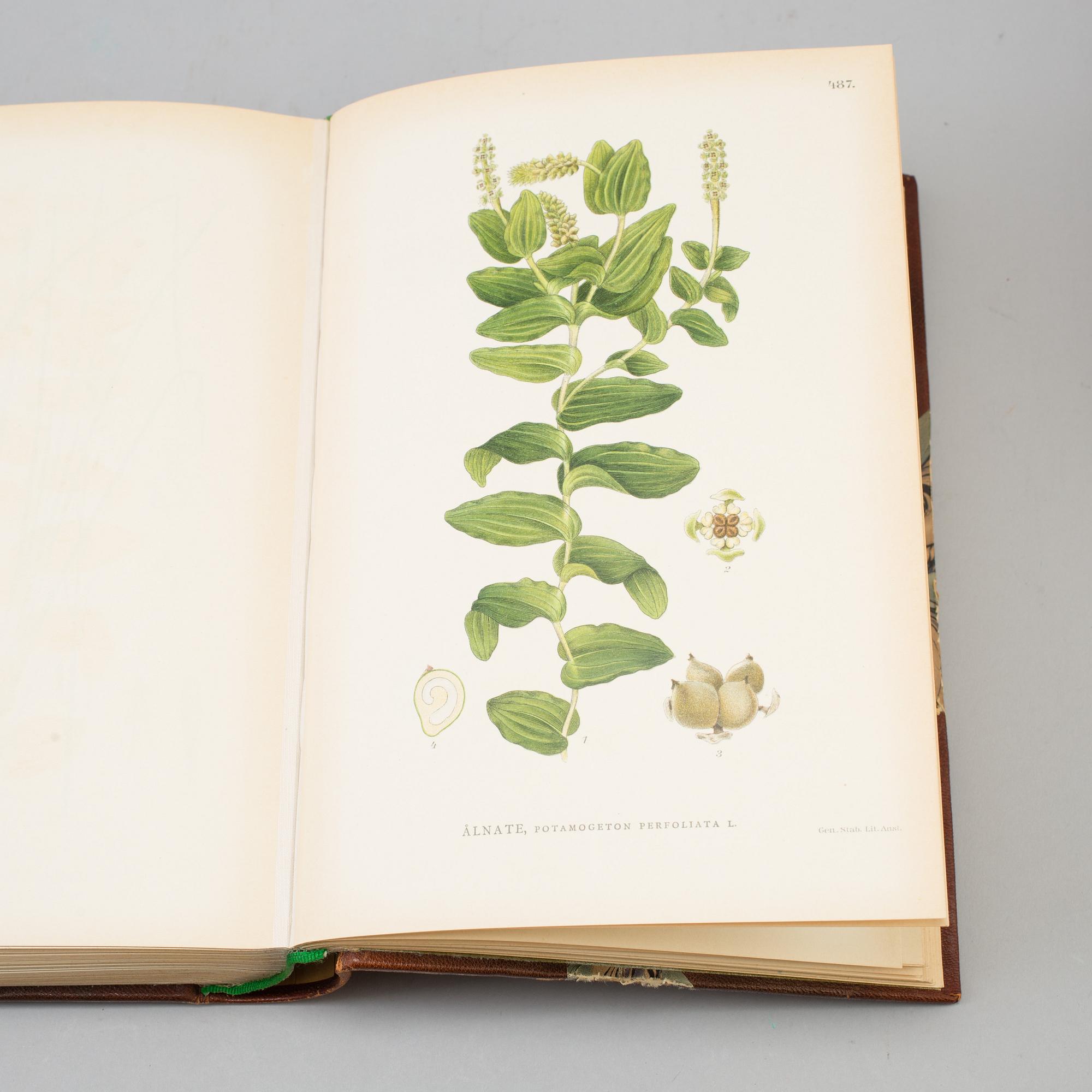 A set of three books, "Bilder ur Nordens Flora", CAM Lindman.