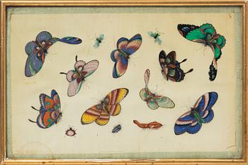 Rispappersmålningar, 9 stycken. Qingdynastin, 1800-tal.