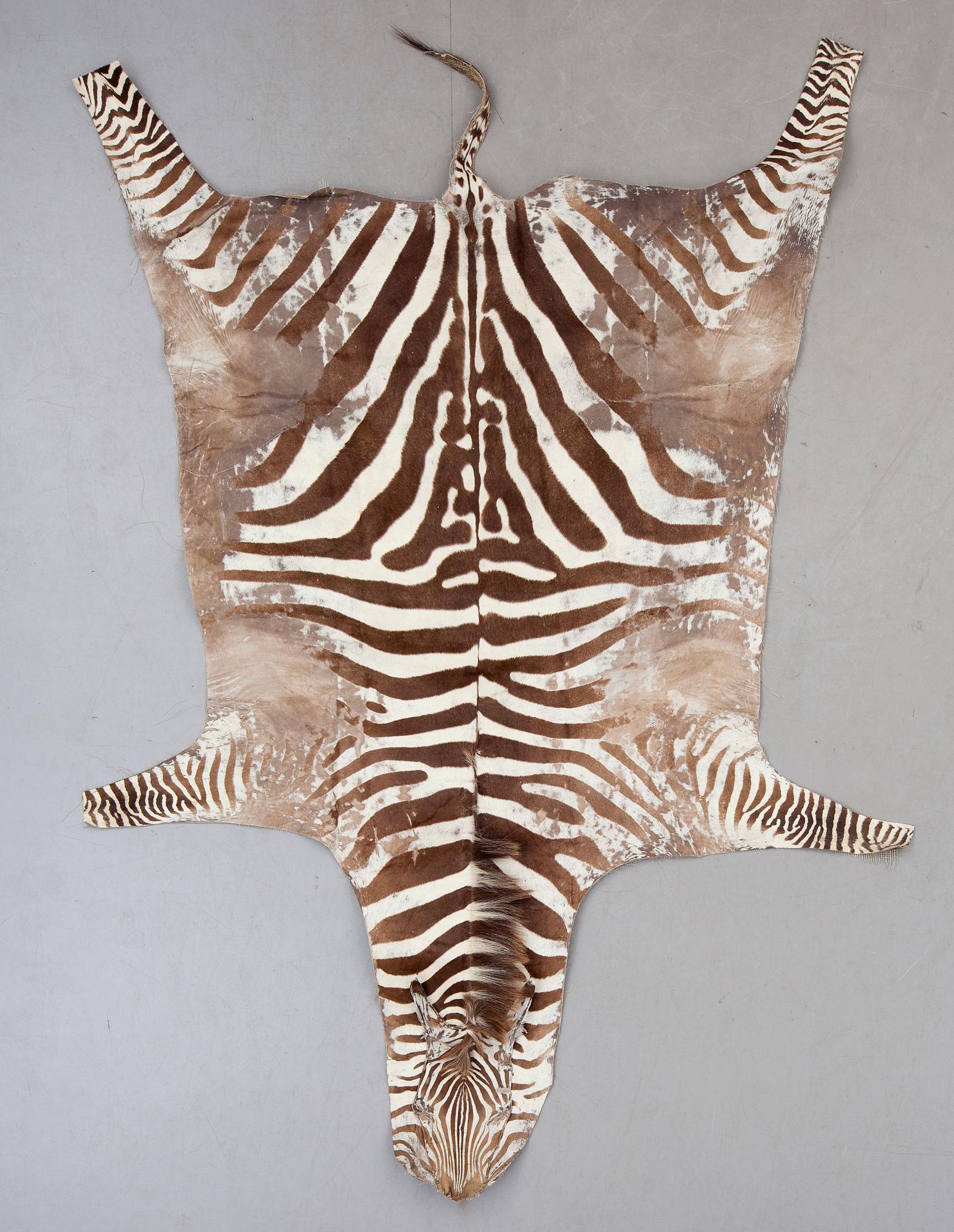 MATTA, zebraskinn, ca 295 x 210 cm.