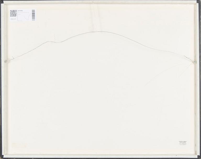 Hans Arnold, Turistbuss.