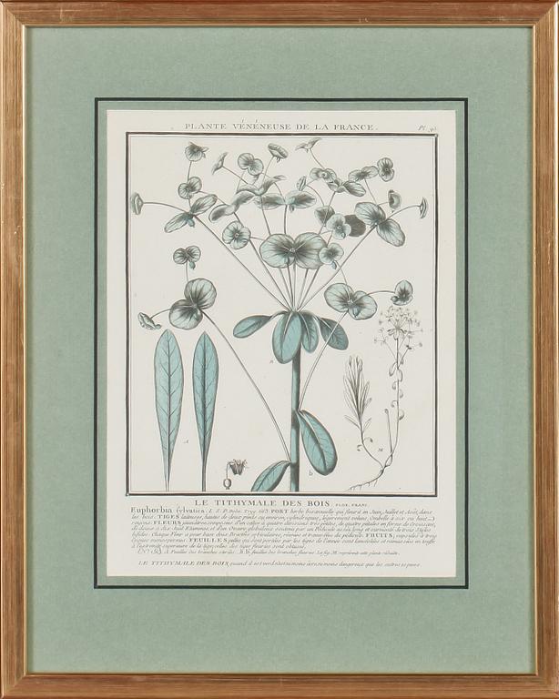 GRAFISKA BLAD, 4 st, kolorerade, 1700/1800-tal.