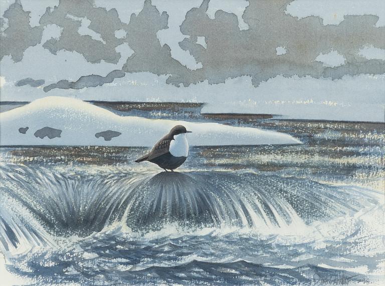 Dan Zetterström, Bird.