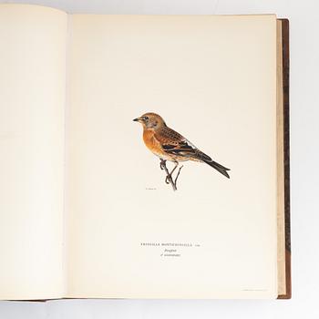 Books, 3, "Svenska fåglar" by von Wright.
