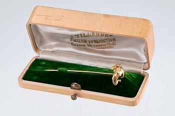 SOLMIONEULA RASIASSA.