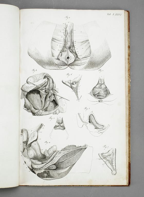 BOK, G H R Loders, "Tabulae Anatomicae Splanchologia", omkr år 1800.