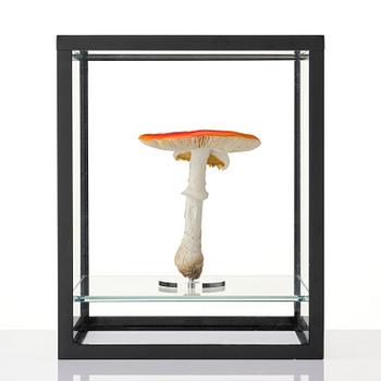 Carsten Höller, "Double Mushroom Vitrine (Once)".
