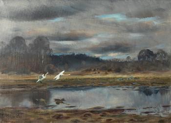 Lindorm Liljefors, Swans.