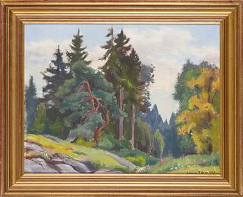Laura Järnefelt, Metsämaisema.