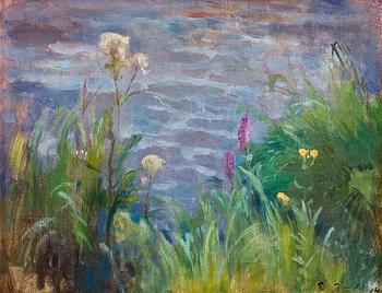 227. Eero Järnefelt, TUUSULANJÄRVEN RANTAA.