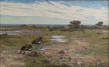 Rolf Mellström, Coastal Landscape with Birds.