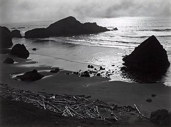 229. Edward Weston, "Oregon Coast, 1939".