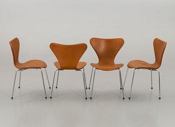 SIX ARNE JACOBSEN CHAIRS,