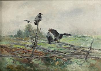Mosse Stoopendaal, Crows.