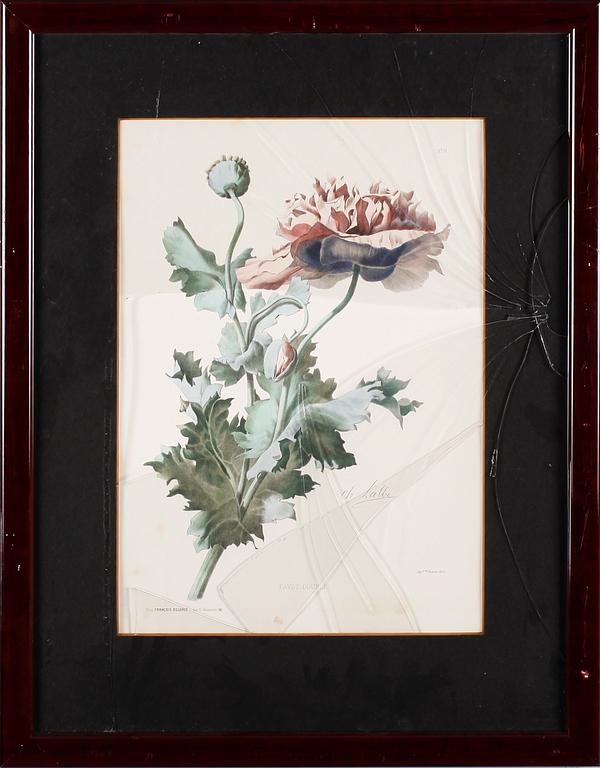 TAVLOR, 6 st, tryck, 1900-talets andra hälft.