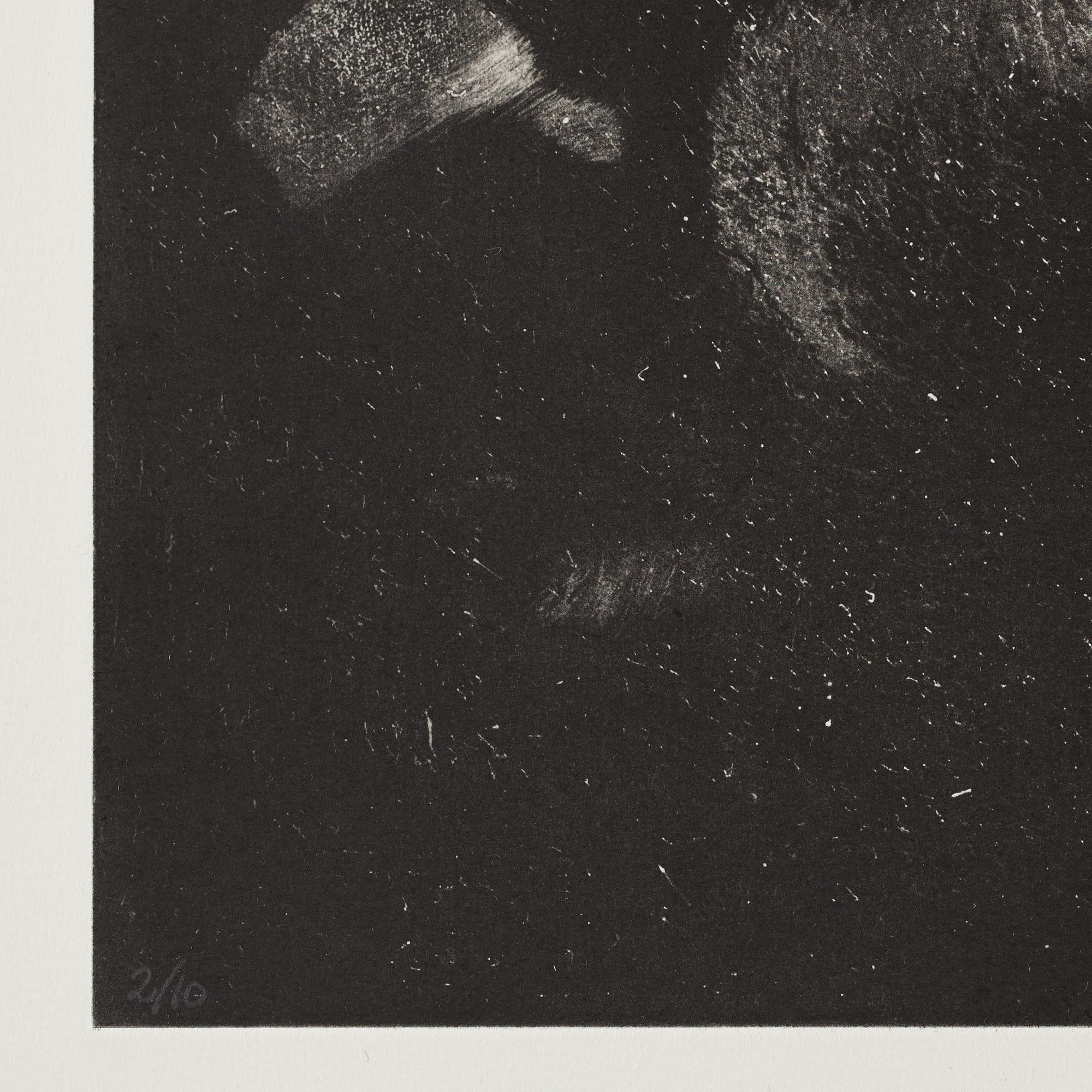 Dan Wolgers, blyrör, signerad Dan Wolgers och numrerad 2/10. 5 photopolymer tryck, 2014, upplaga 10. I originalkartong.