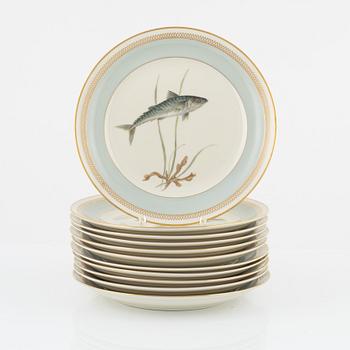 Royal Copenhagen, plates, 11 pcs, porcelain, "Fauna Danica".