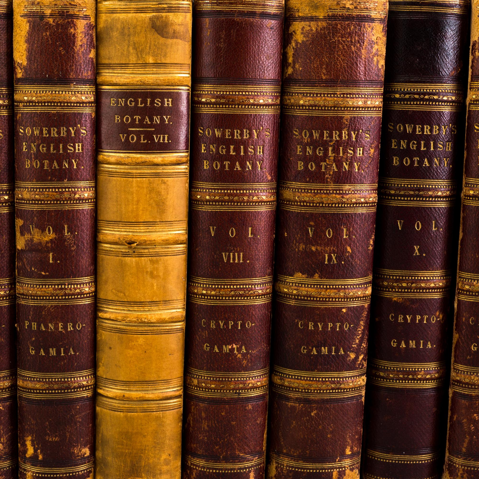 BOOKS, 12 volumes, 'English Botany' by Sir James Edward Smith, James Sowerby, London, 1832-46.