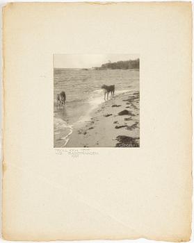 HENRY B. GOODWIN, 2 signed gelatin silver prints with motif from Mysingen.
