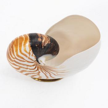 Firma Svenskt Tenn, shells 4 pcs, including one Nautilus shell with a brass mount.