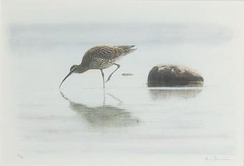 Lars Jonsson, Eurasian Curlew.