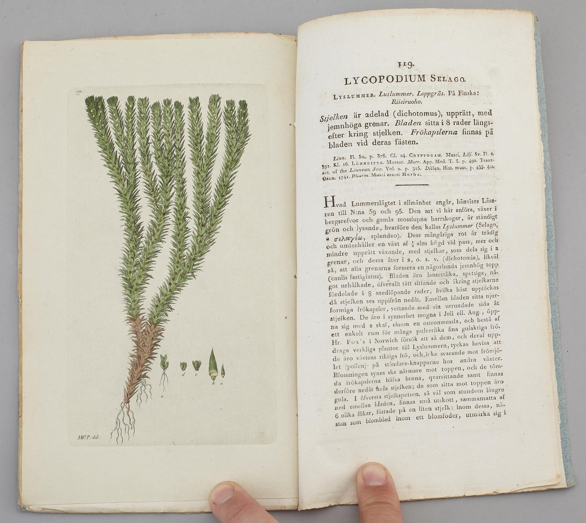 JOHAN WILHELM PALMSTRUCH, "Svensk Botanik, vol I-V. 1803-1805.