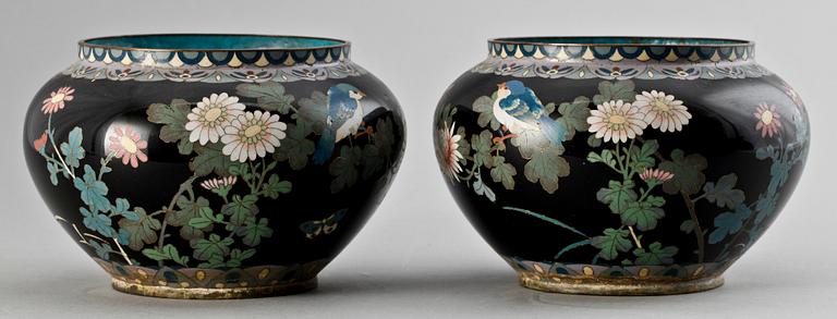 SKÅLAR, ett par, cloisonné. Kina, 1900-tal.