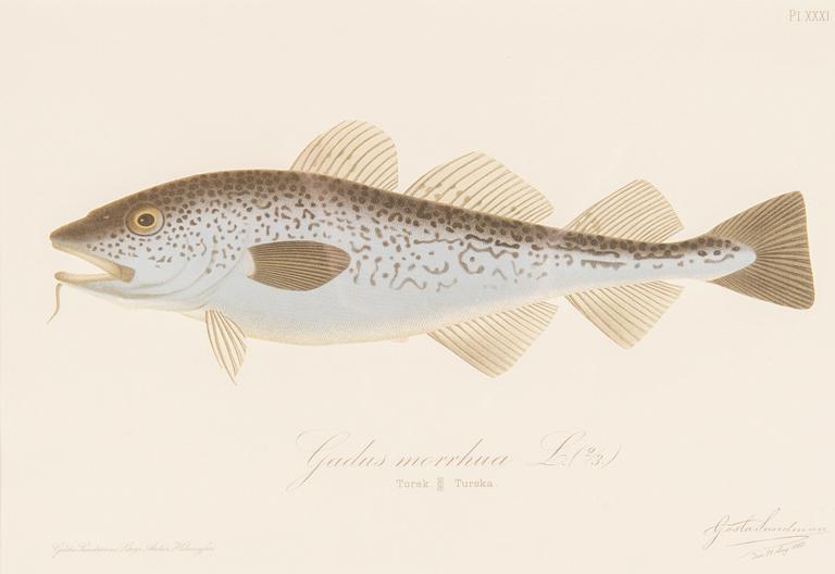 Gösta Sundman, Kromolitografiat, 3 kpl.