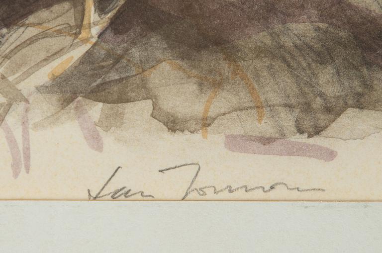 Lars Jonsson, Northern lapwing.