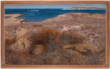 Bruno Liljefors, Brooding eider.