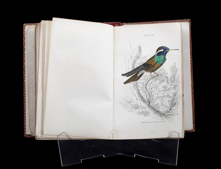 BOK, vol I o II sambundna, "The Natural History of Humming-Birds", av Sir William Jardine, Edinburgh. 1830-tal.