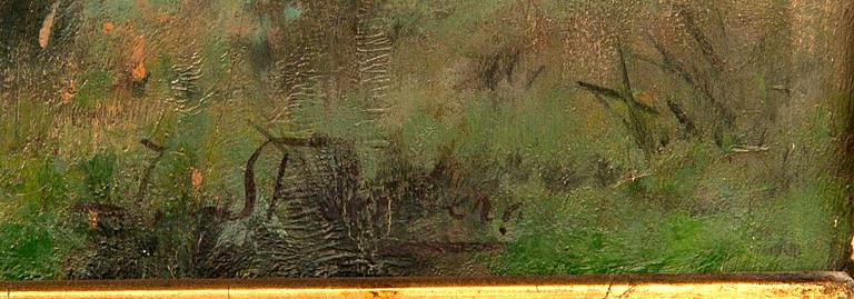 Julia Strömberg, "Motive of a bog".