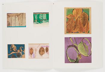 Josef Albers, "Interaction of color".