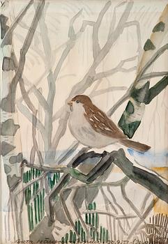 561. Greta Hällfors-Sipilä, THE KELLOKOSKI SPARROW.