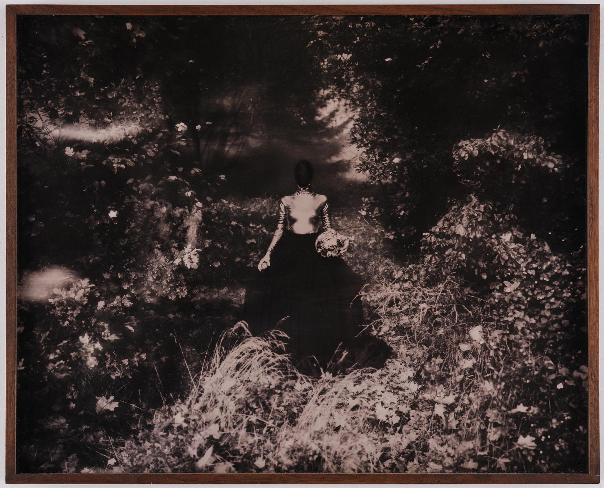 Denise Grünstein, "Skepnad", 2015.