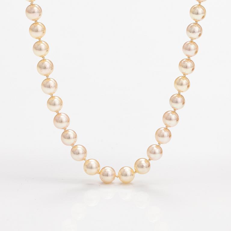 Pärlcollier, odlade pärlor, 14K guld och diamanter ca 0.01 ct tot. Mikimoto, Japan.