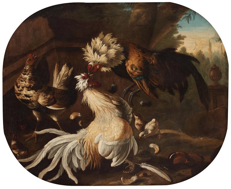 Melchior de Hondecoeter In the manner of the artist, Cock fight.