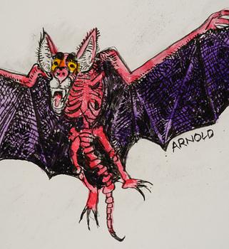 Hans Arnold, Bat.