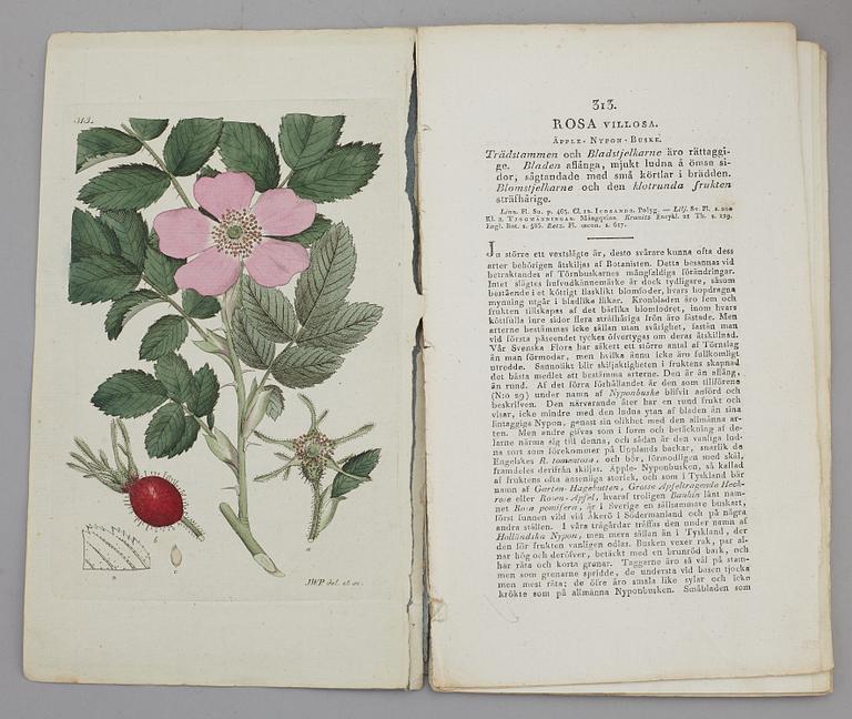 JOHAN WILHELM PALMSTRUCH, "Svensk Botanik, vol I-V. 1803-1805.