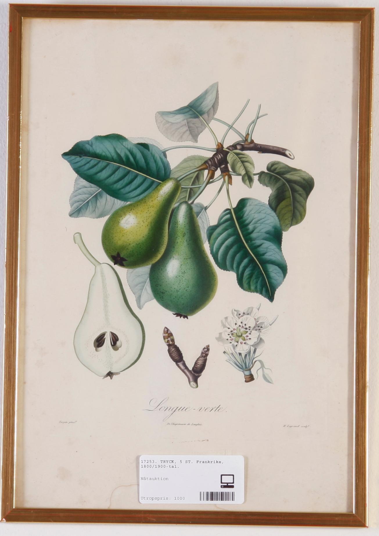 TRYCK, 5 ST. Frankrike, 1800/1900-tal.