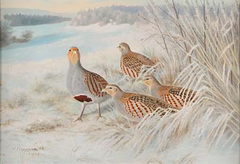 Matti Karppanen, Forest Birds in Winter Landscape.