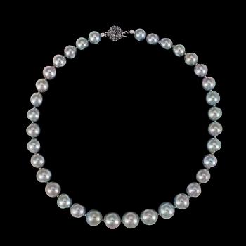 972. A cultured tahiti pearl necklace, 13,8-10,6 mm.