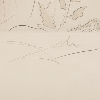 SALVADOR DALI, drypoint etching with colouring, signed and numbered 120/145.
