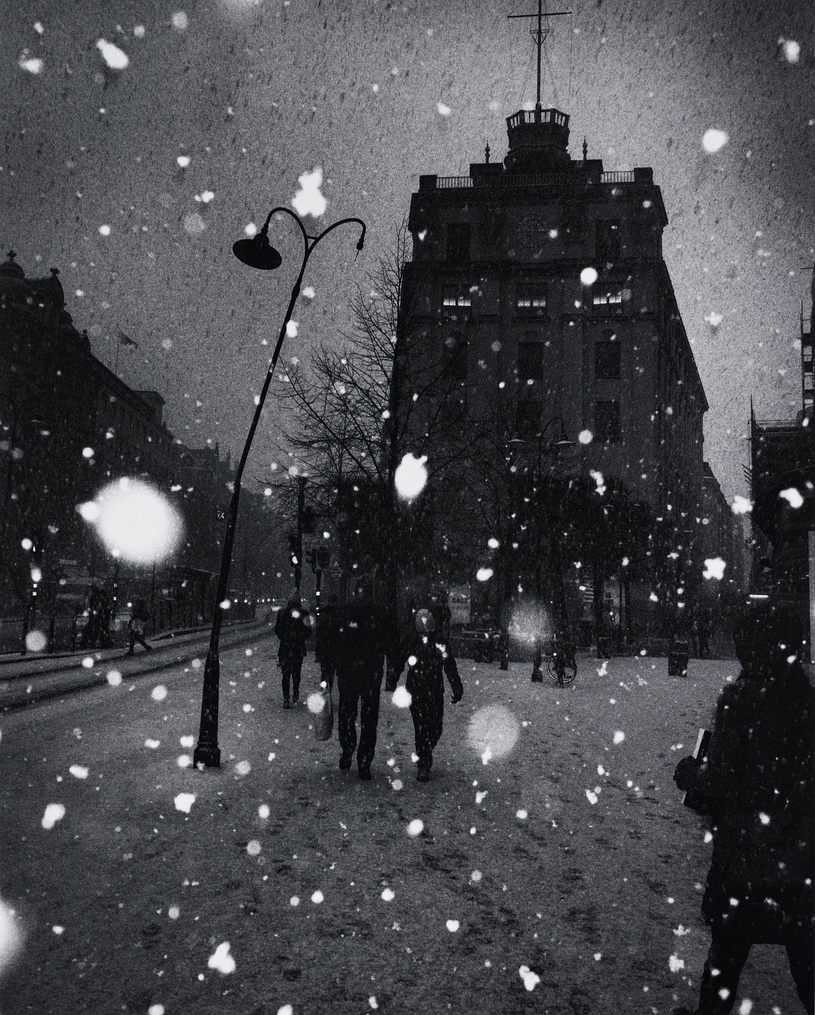 Cato Lein, "Stockholm", 2017.