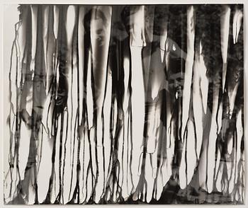 Iñaki Bonillas, "The Rain Came Last", 2013.